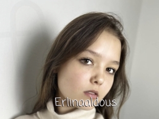 Erlinaaldous