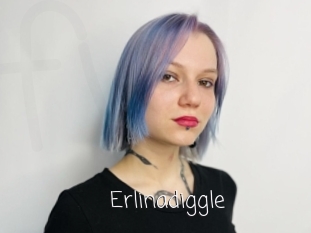 Erlinadiggle