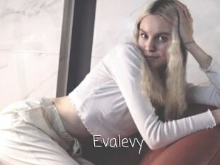 Evalevy