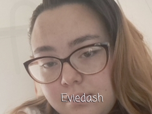 Eviedash