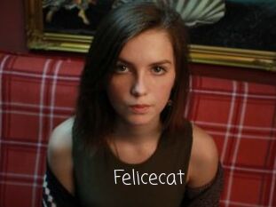 Felicecat