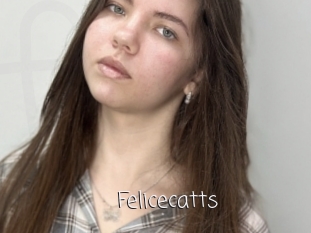 Felicecatts