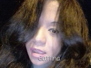 Gattina