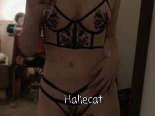 Haliecat