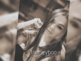 Harleyboo