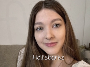 Hollisbarks