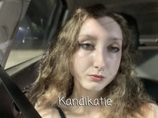 Kandikatie