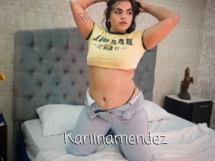 Kariinamendez