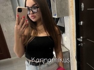 Karinamikus