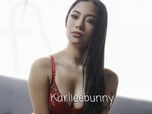 Karlieebunny