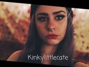 Kinkylittlecate