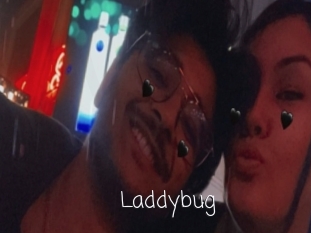 Laddybug