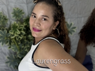 Laurengrass