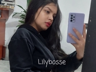 Lilybosse