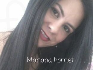 Mariana_hornet