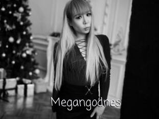 Megangodnes