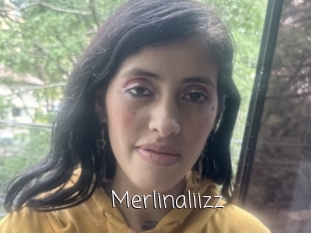 Merlinaliizz