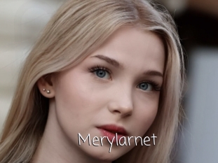 Merylarnet