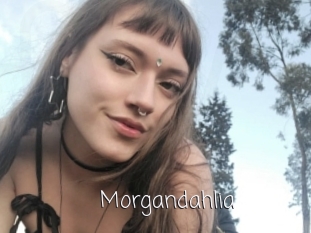 Morgandahlia