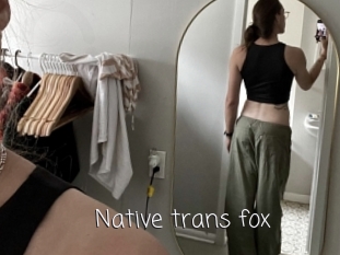 Native_trans_fox