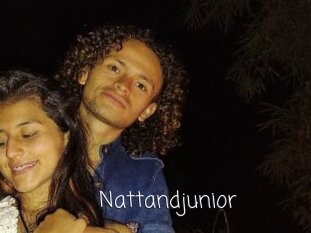 Nattandjunior