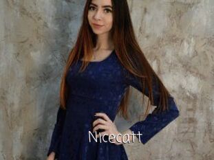 Nicecatt