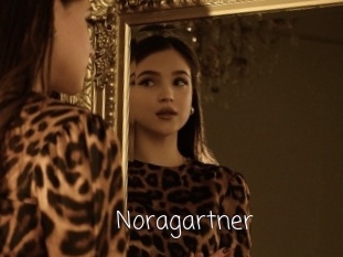 Noragartner