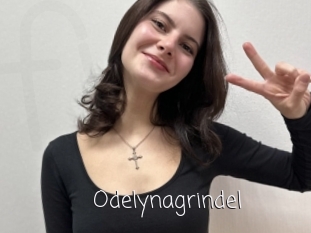 Odelynagrindel