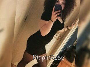 PippinRose