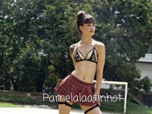 Pamelalaatinhot