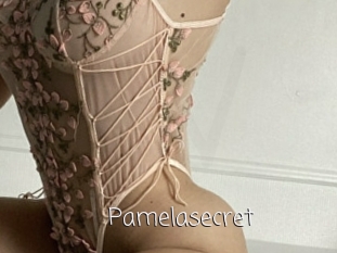 Pamelasecret