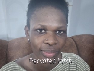 Pervated_bitch