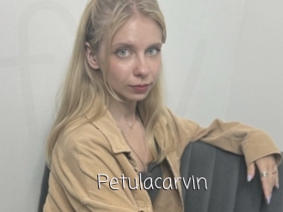 Petulacarvin