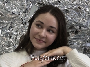 Pollybrucker