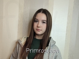 primrosedavi Fille Webcam