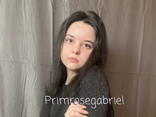 Primrosegabriel