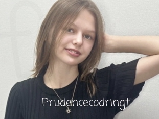 Prudencecodringt