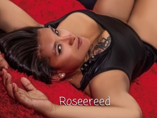 Roseereed