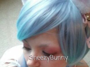 Sneezy_Bunny