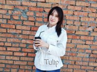 Tulip