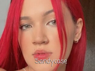 Sandycase