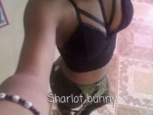 Sharlot_bunny