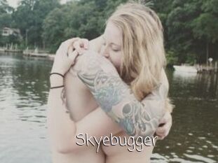 Skyebugger