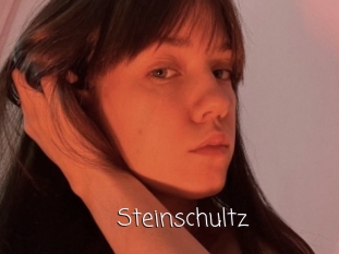 Steinschultz