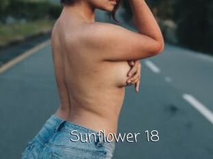 Sunflower_18