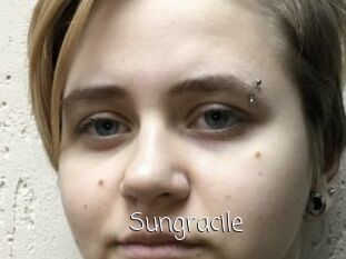 Sungracile