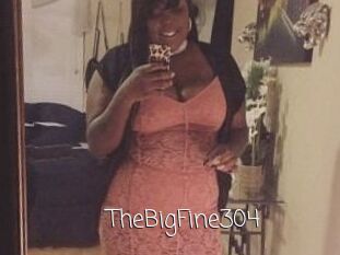 TheBigFine304