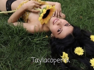 Taylacoperrk