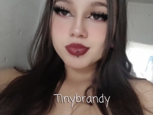 Tinybrandy