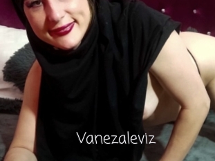 Vanezaleviz